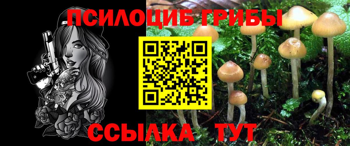 Псилоцибиновые грибы MAGIC MUSHROOMS Гусиноозёрск